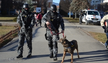 Bărbat suspectat că a intrat în locuinţa unor bătrâni din Harghita, pe care i-a bătut şi le-a furat circa 30.000 de lei, arestat preventiv. VIDEO