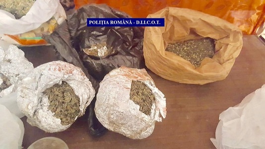 Gorj: Percheziţii într-un caz de trafic de droguri -  au fost găsite 60 de grame de seminţe de cannabis şi 1 kilogram de  muguri de cannabis - FOTO, VIDEO