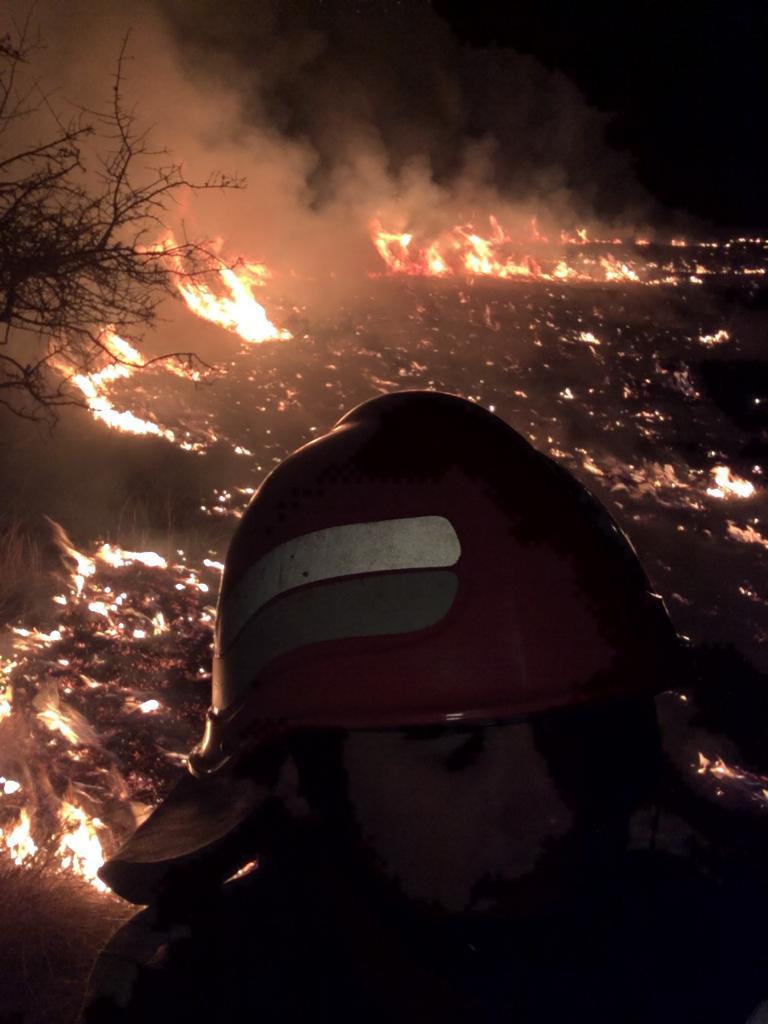 IGSU: Duminică s-au înregistrat 270 de incendii de vegetaţie; în judeţele cu multe incendii a fost chemat personal din turele libere. FOTO, VIDEO