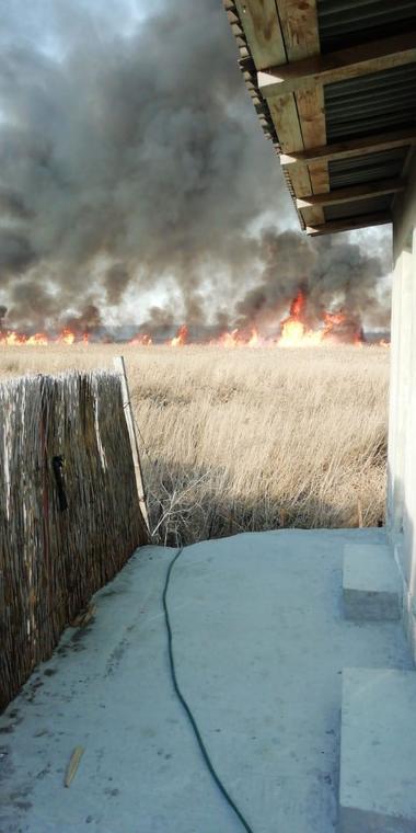 Buzău: Aproape 80 de incendii de vegetaţie uscată au avut loc la finalul săptămânii trecute; pompierii spun că de zece ani nu s-au mai confruntat cu o asemenea situaţie
