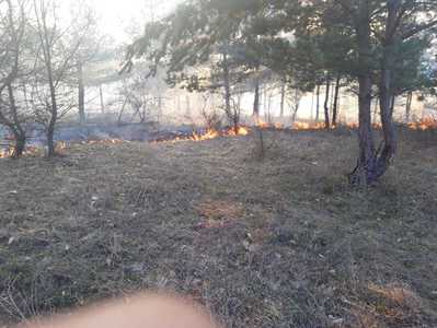 Arad: Incendiu de vegetaţie în apropierea localităţii Nadăş, focul a intrat şi într-o pădure; peste 80 de oameni intervin pentru stingere. FOTO