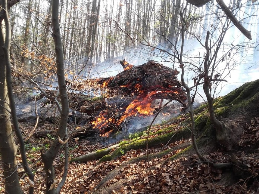 Hunedoara: Şapte hectare de litieră de pădure şi 14 hectare de teren agricol, distruse într-o singură zi din cauza incendiilor de vegetaţie scăpate de sub control. VIDEO