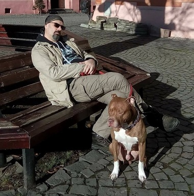 Fiul lui Andrei Pleşu, Mihai Pleşu, implicat într-un dosar de trafic şi consum de droguri, a fost reţinut