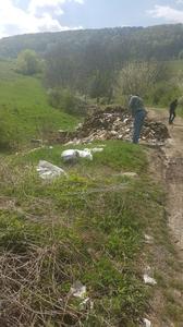 Două tone de leşuri de animale, depozitate pe marginea drumului într-o comună din Mureş