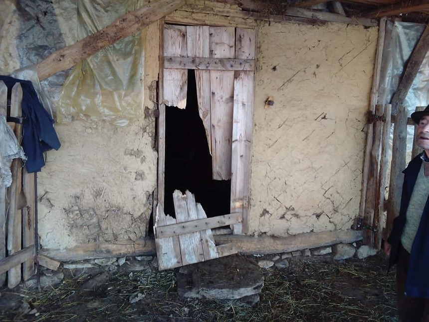 Buzău: Un urs a atacat o gospodărie şi a ucis mai multe oi şi miei, deşi animalul bănuit că intra în curţile oamenilor a fost împuşcat joi