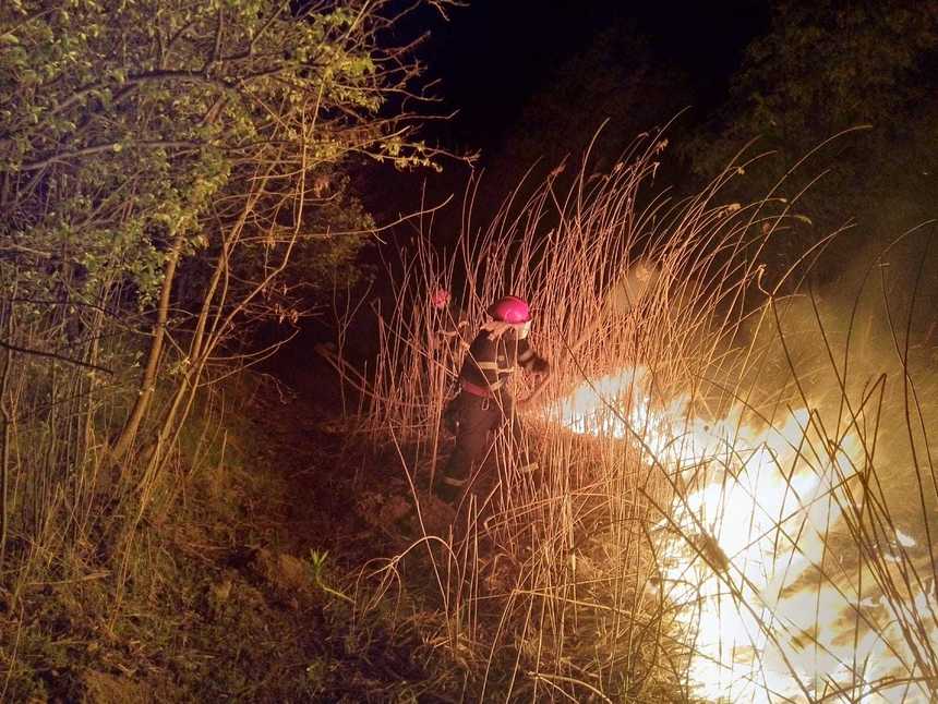 Tulcea: Incendiu de vegetaţie pe zece hectare care risca să cuprindă două pensiuni; pompierii au intervenit mai multe ore