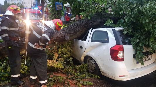 ISU Bucureşti-Ilfov: Intervenţii pentru degajarea a şase copaci căzuţi, în Capitală, în urma furtunii