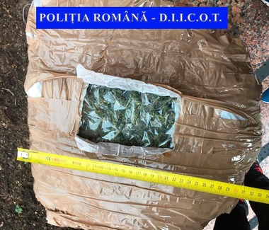 Iaşi: Percheziţii la persoane bănuite de trafic de droguri de risc; două persoane au fost reţinute, iar una a fost plasată sub control judiciar