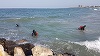 Elev al Colegiului Militar din Craiova, dispărut în mare în Mamaia - FOTO
