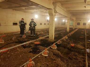 Hunedoara: Incendiu la o fermă avicolă din Mintia; 16.000 de pui au murit. VIDEO