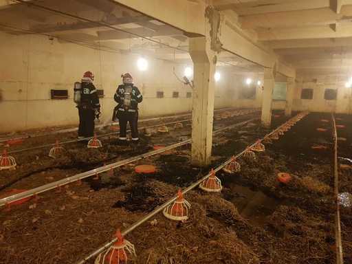 Hunedoara: Incendiu la o fermă avicolă din Mintia; 16.000 de pui au murit. VIDEO