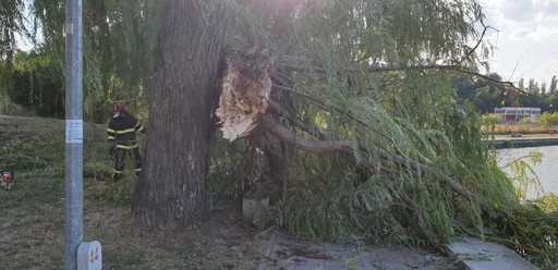 Tulcea: Femeie rănită, după ce o creangă de salcie a căzut peste banca din parc pe care stătea. FOTO/ VIDEO