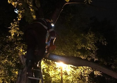 Cod roşu de furtuni în judeţele Dolj, Maramureş şi Olt; în Dolj crengile unui copac au căzut peste o ambulanţă, iar un copac peste o conductă de gaz
