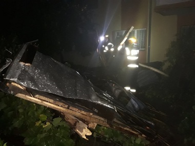Dolj: Zeci de copaci au căzut pe maşini şi pe carosabil, în urma unei furtuni puternice - FOTO

