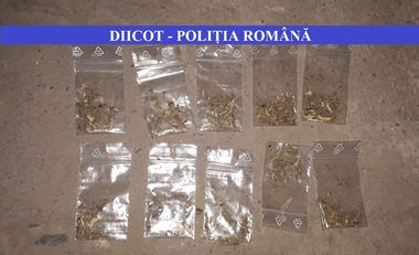 Nouă persoane suspectate de trafic de droguri, cercetate de procurorii DIICOT; gruparea acţiona în judeţele Călăraşi, Ialomiţa şi Constanţa