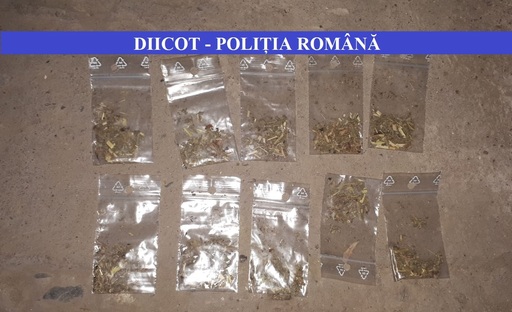 Nouă persoane suspectate de trafic de droguri, cercetate de procurorii DIICOT; gruparea acţiona în judeţele Călăraşi, Ialomiţa şi Constanţa