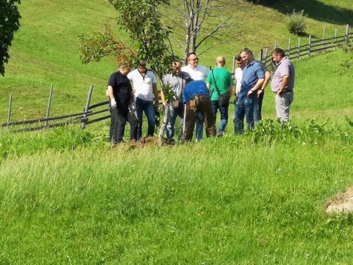Suceava: Procurorii spun că osemintele găsite în gospodăria femeii suspectate că şi-a ucis nou-născutul vor fi verificate