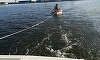 Şalupă căreia i s-a rupt elicea, la bordul căreia se aflau două persoane, adusă la ţărm de o ambarcaţiune a Gărzii de Coastă 
