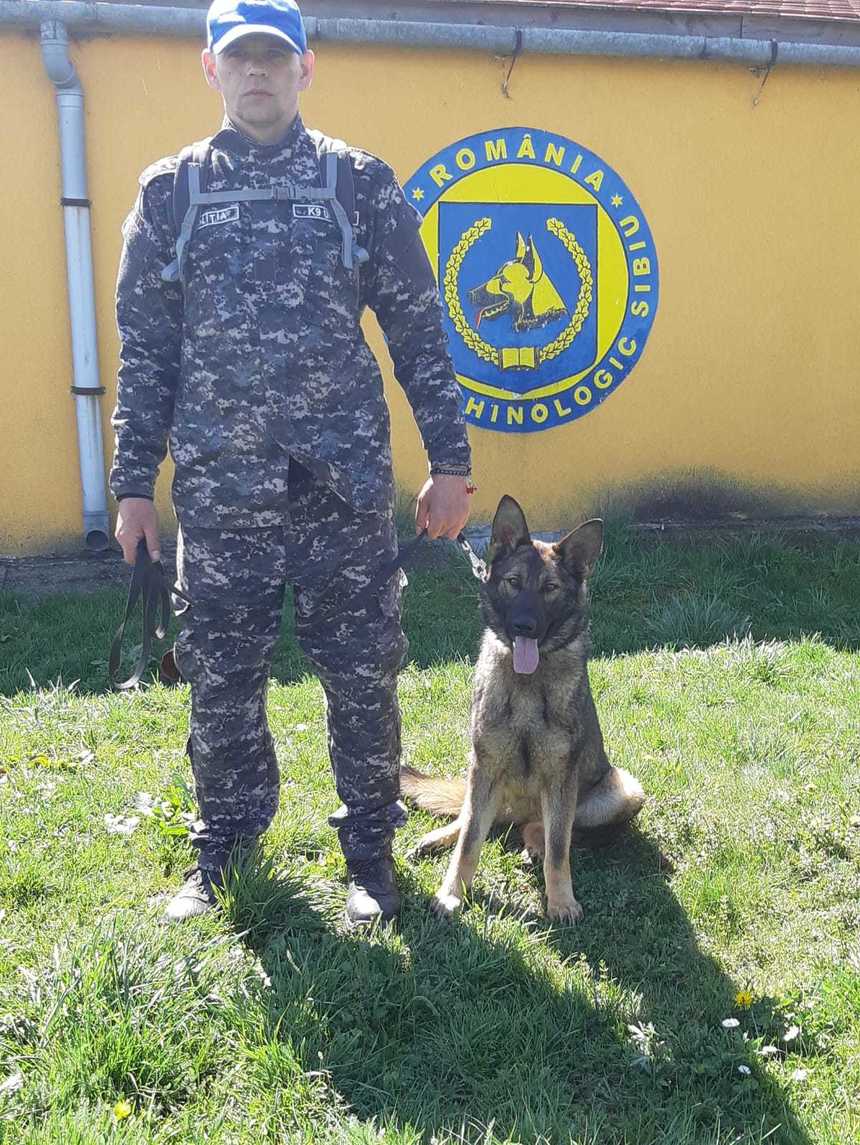 Botoşani: Bărbat care plecase de acasă fără a mai reveni, găsit de echipele de căutare cu ajutorul unui câine poliţist