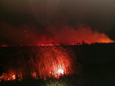 Incendiu în Delta Dunării, la Mila 23 - ard aproximativ 10 hectare de vegetaţie - FOTO
