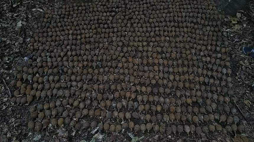Peste o mie de grenade funcţionale, din perioada Primului Război Mondial, descoperite în Vrancea. FOTO
