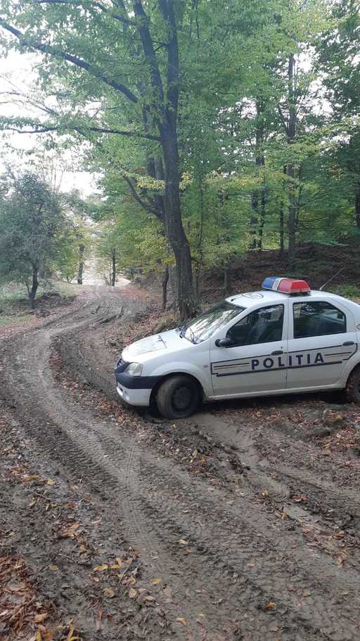 Vrancea: Cei doi ciobani căutaţi de zeci de persoane, găsiţi teferi