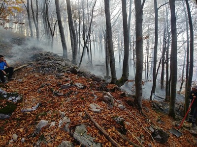 Două incendii de pădure, în judeţul Hunedoara; în total, sunt afectate aproximativ 20 de hectare de pădure - FOTO