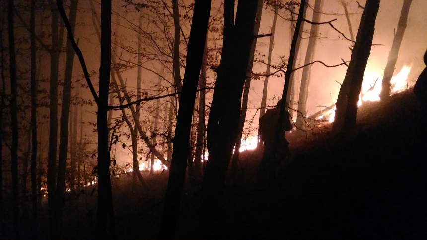 Sibiu: Incendiu de pădure în zona Măgura, din apropiere de Cisnădie - FOTO, VIDEO