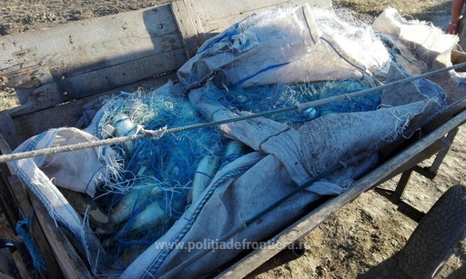 Peste 2,3 tone de peşte, confiscate în urma unei acţiuni a poliţiştilor în Delta Dunării şi la Marea Neagră - VIDEO