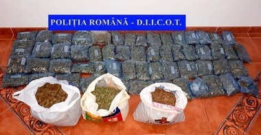 Neamţ: 110 kilograme de cannabis destinat vânzării în Iaşi, dar şi în alte zone, au fost ridicate în urma a două percheziţii  - FOTO
