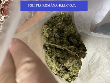 Cluj: Doi tineri, arestaţi preventiv după ce au fost prinşi cu aproape un kilogram de canabis