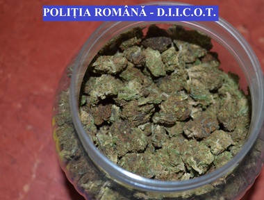 Cinci bărbaţi din Târgu Mureş, reţinuţi în urma unor percheziţii făcute de poliţişti şi procurori DIICOT într-un dosar de trafic de droguri