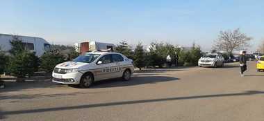 IGPR: Peste 5.800 de pomi de Crăciun au fost confiscaţi, fiind constatate 426 de infracţiuni; s-au dat amenzi în valoare de aproape un milion de lei