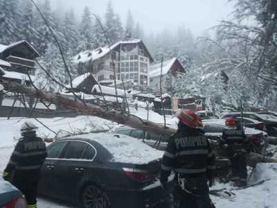 Doi copaci au căzut peste patru maşini, la Predeal; nu s-au înregistrat victime - FOTO