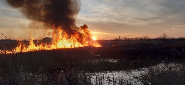 Incendiu de vegetaţie uscată pe circa 250 de hectare, în zona a două localităţi din Buzău