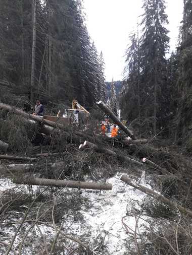 MAI: Peste 650 de persoane, salvate după ce 70 de autovehicule au rămas blocate sau au derapat, din cauza viscolului; şapte persoane, rănite după căderea unor copaci sau elemente de construcţie; peste 88.000 de consumatori, fără electricitate