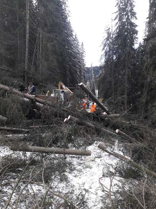 MAI: Peste 650 de persoane, salvate după ce 70 de autovehicule au rămas blocate sau au derapat, din cauza viscolului; şapte persoane, rănite după căderea unor copaci sau elemente de construcţie; peste 88.000 de consumatori, fără electricitate
