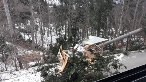 Instalaţiile de transport pe cablu din zona staţiunii Sinaia nu funcţionează, din cauza vântului foarte puternic; drumul spre Cota 1400 este închis după căderea unor copaci - FOTO