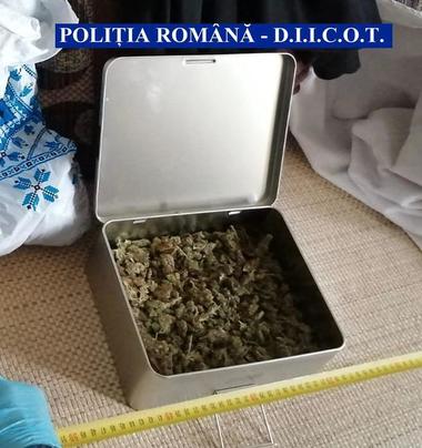 Două grupări de trafic de cocaină şi cannabis, respectiv substanţe psihoactive, destructurate în urma a 17 percheziţii făcute de poliţişti şi procurori DIICOT