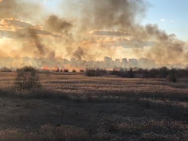 UPDATE - Incendiu pe 20.000 de metri pătraţi, în Delta Văcăreşti/ ISU Bucureşti-Ilfov intervine cu mai multe autospeciale/ Din cauza vântului, focul s-ar putea extinde - VIDEO