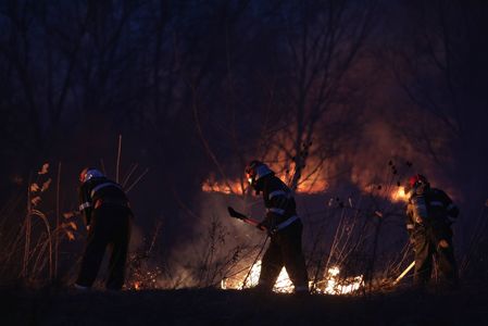 Incendiul izbucnit în Delta Văcăreşti a fost stins de pompieri