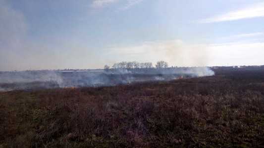 Incendiu de vegetaţie în Glina, pe o suprafaţă de 5.000 de metri pătraţi
