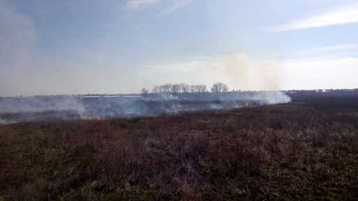 Incendiu de vegetaţie în Glina, pe o suprafaţă de 5.000 de metri pătraţi
