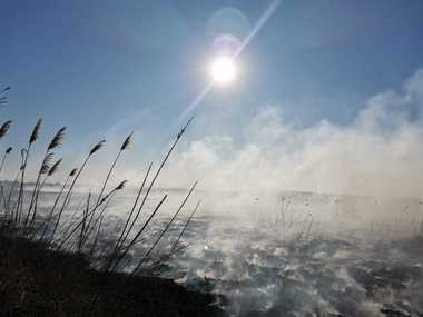 UPDATE - Pompierii din Bucureşti intervin pentru stingerea unui incendiu de vegetaţie uscată care se manifestă pe 30.000 de metri pătraţi, între localităţile Periş şi Dârza/ Garda de Mediu a făcut verificări - VIDEO
