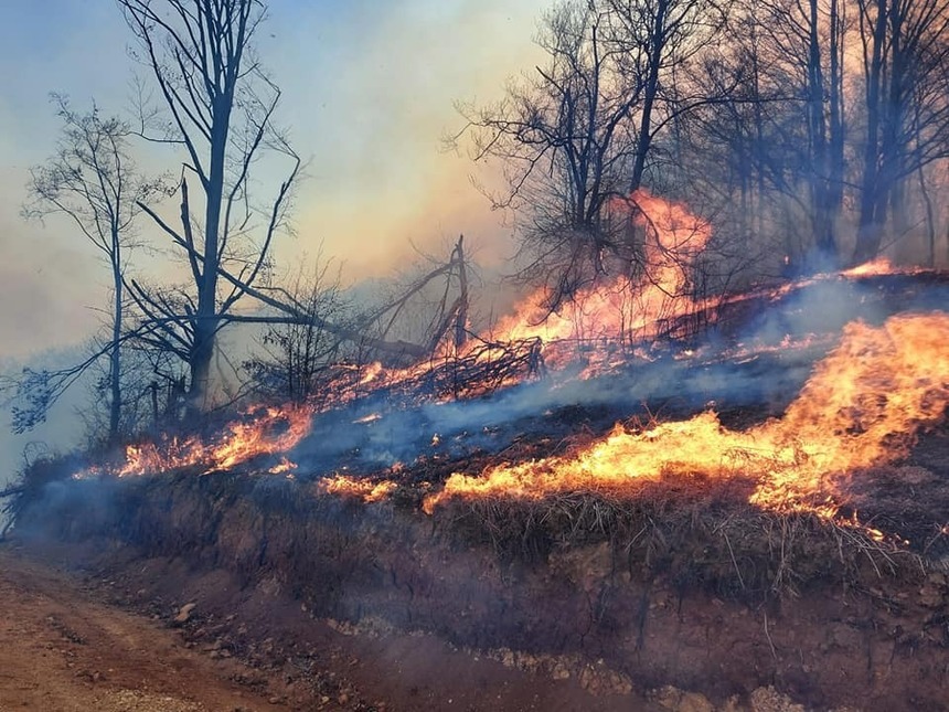 Hunedoara: 14 incendii de litieră de pădure şi vegetaţie uscată au izbucnit în aceeaşi zi