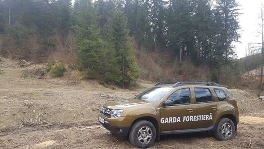Costel Alexe anunţă că Inspectorii Gărzii Forestiere Suceava au descoperit tăieri ilegale de arbori în valoare de 90.000 de lei/ Poliţiştii au deschis dosar penal