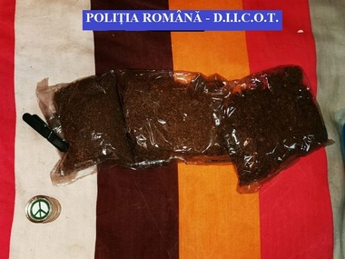 Argeş: 11 percheziţii la două grupări bănuite de trafic de droguri de risc; 36 de persoane urmează a fi duse la audieri/ Substanţele interzise erau comercializate tinerilor şi în penitenciar