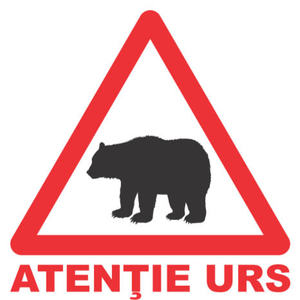 Salvamont: În zona Valea lui Stan din masivul Făgăraş este un pui de urs rănit, care va fi capturat. Nu putem şti care va fi reacţia ursoaicei, turiştii să fie atenţi