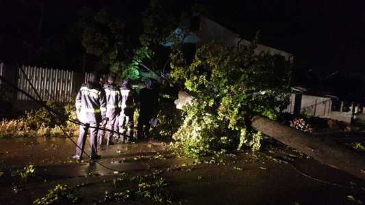 Furtună puternică în Galaţi – 50 de maşini au fost avariate şi 100 de copaci au fost doborâţi de vânt