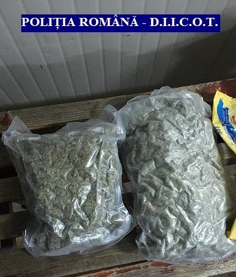 Arad: Bărbat arestat preventiv după ce a fost prins, într-un autocar, cu 1,2 kilograme de cannabis